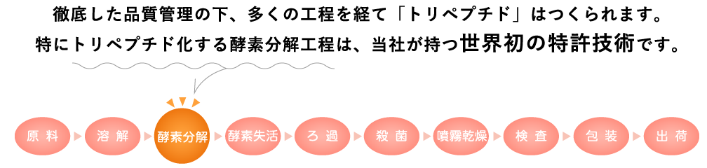 徹底した品質管理の下、多くの工程を経て「トリペプチド」はつくられます。特にトリペプチド化する酵素分解工程は、当社が持つ世界初の特許技術です。