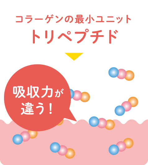 トリペプチドは、体内にあるコラーゲンの最小単位（3個）と同じため吸収が早い。