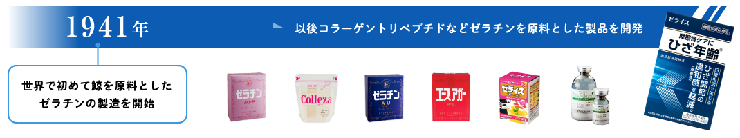 1941年以後コラーゲントリペプチドなどゼラチンを原料とした製品を開発